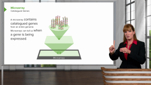Molecular and Cell Biology