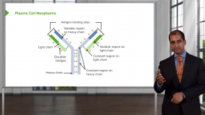 Blood & Lymphoreticular System