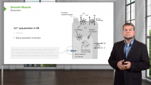 Musculoskeletal, Skin, and Connective Tissue